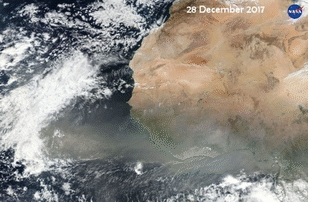 Animated satellite pictures of Saharan dust between 28/12 and 1/5