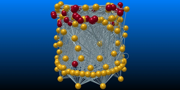 Parasites (red nodes) can also affect the structure and dynamics of food webs such as the Wadden Sea food web depicted here. Figure: David Thieltges