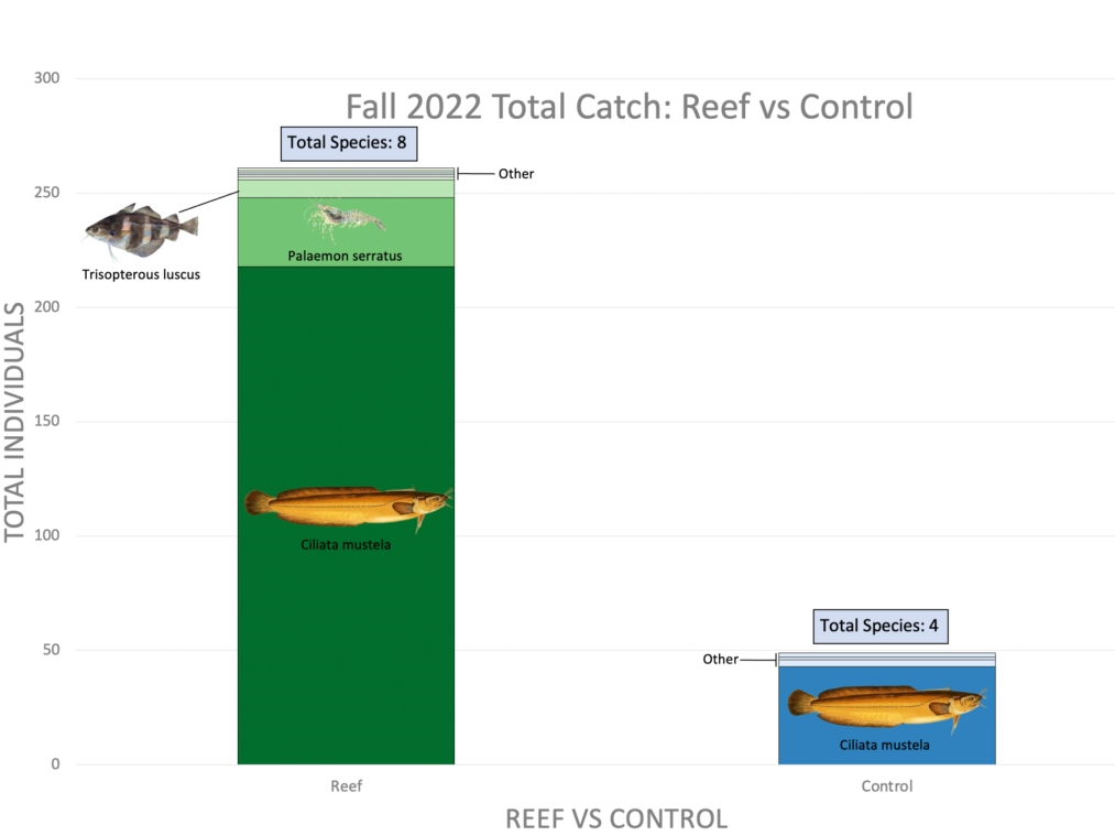 Results of observations and measurements in actual numbers of animals. Left: around and on the reefs. Right: the control measurements elsewhere in the Wadden Sea. Figure: Jon Dickson, NIOZ.