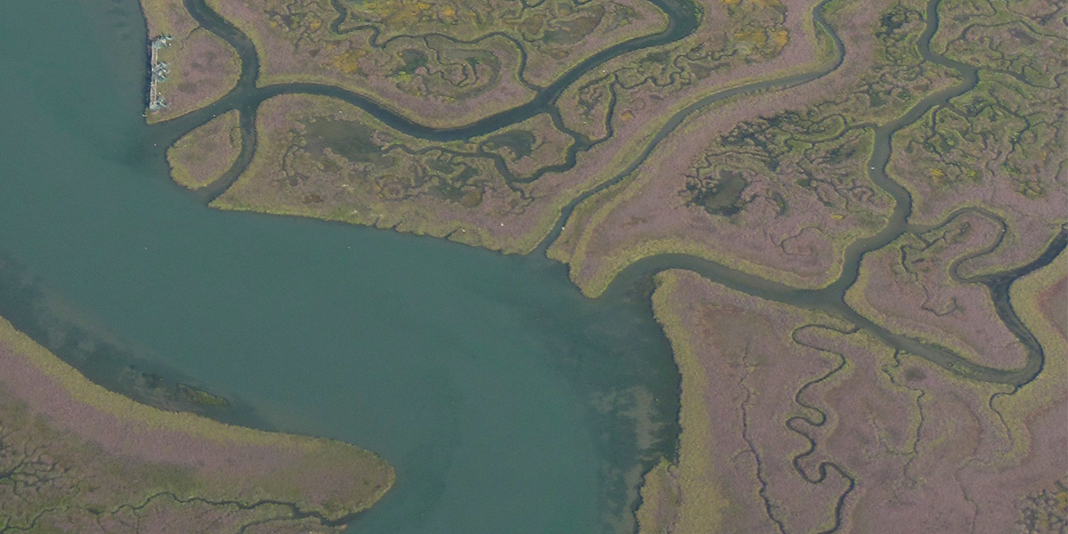Complex network of tidal channels on a tidal marsh in Venice Lagoon, Italy. Photo: Roeland van de Vijsel