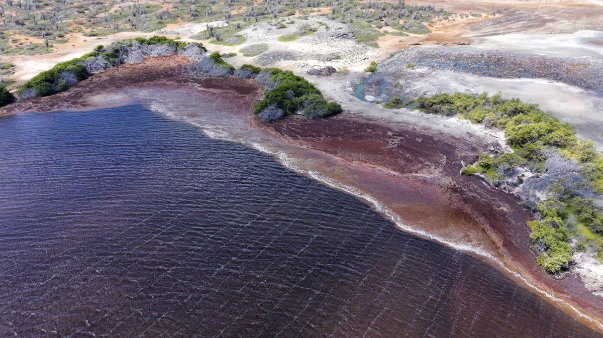 Kralendijk, Bonaire - 22-03-2022: Photo by Shutterstock/StephanKogelman