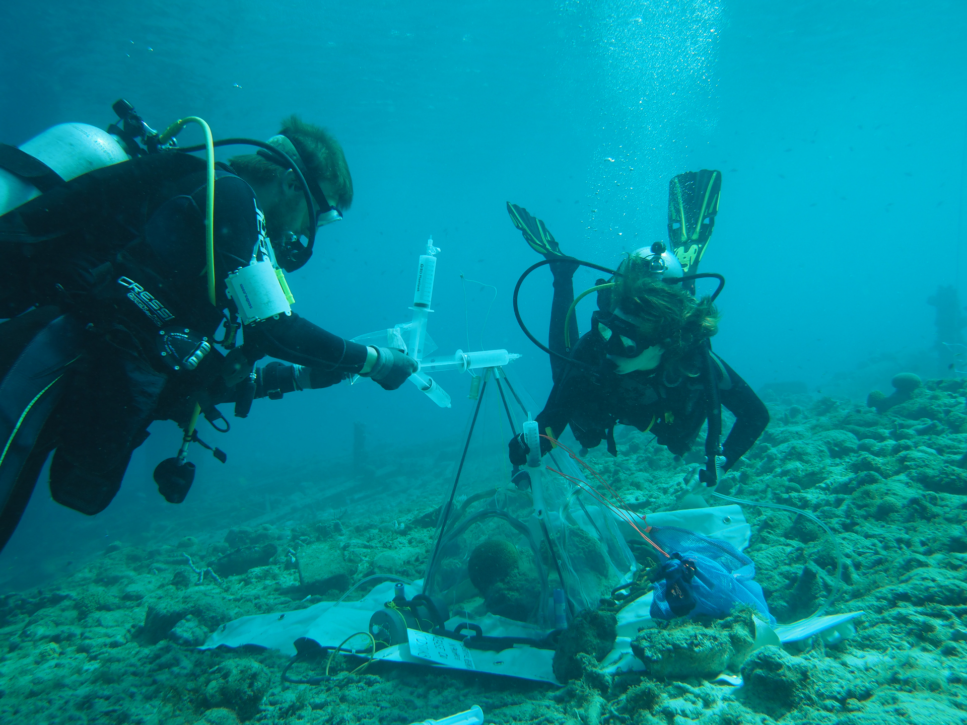 Sampling  water inside the incubation of a shallow reef community, photo Didier de Bakker