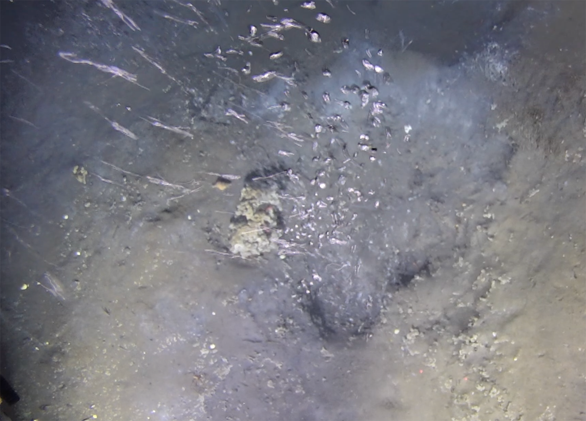 Methane seeps such can be observed on many locations on the ocean floor in the Arctic. Investigations of seasonal variability of this type of methane release provide important input for more precise calculations of the climate gas budget. Credit: CAGE/UiT