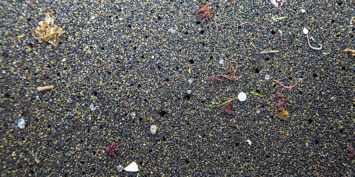 Plastic debris captured in the North Atlantic near the Azores. Photo Peter Charaf.