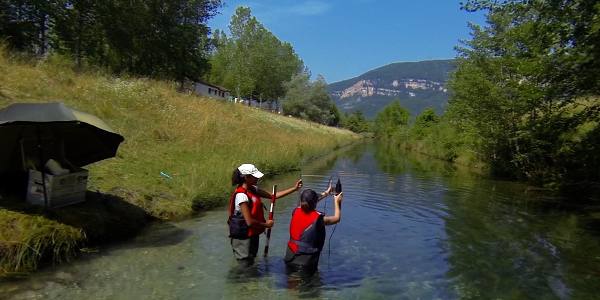 Cornacchia en haar collega meten de waterstroomsnelheden rond vegetatieplekken met een Vectrino ADV (Acoustic Doppler Velocimeter) in de Rhône rivier nabij Serrières-de-Briord in Frankrijk. 