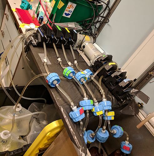 Filtration setup used by Erin Bertrand.
