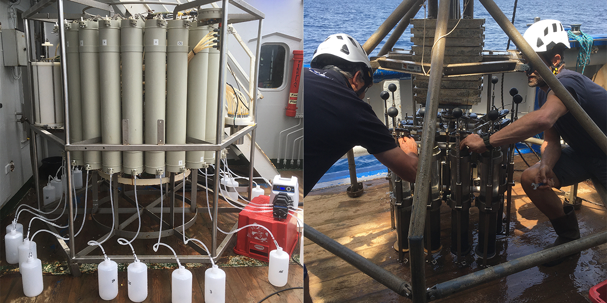 CTD/rosette water sampling and filtration set up (left) and multicore sampling (right) used for identification of fish and squid species from eDNA.