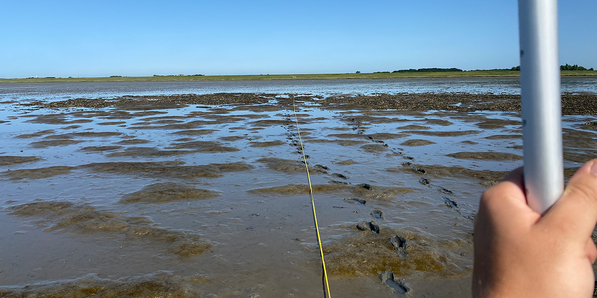 Walking along the transect line