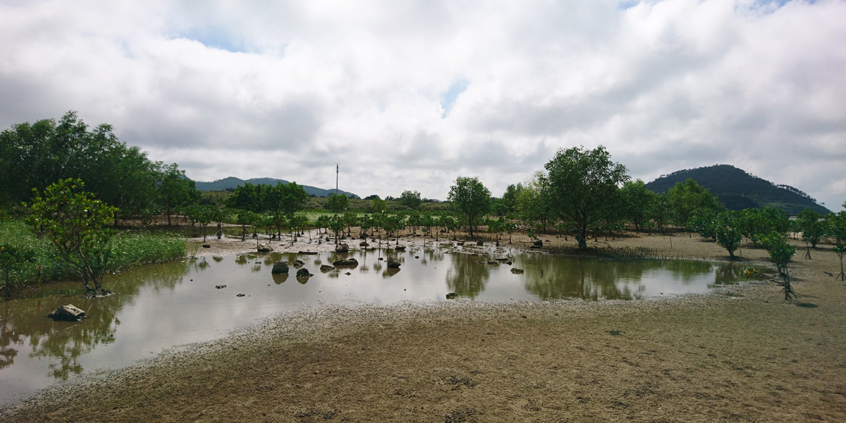 Hailing Island, one of the field sites. Photo: Rosanna van Hespen