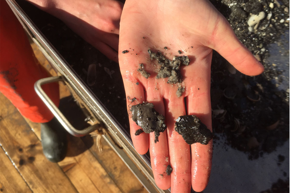  Peat, coarse sand and clay: all in one boxcore. Photo: Tjitske Kooistra)