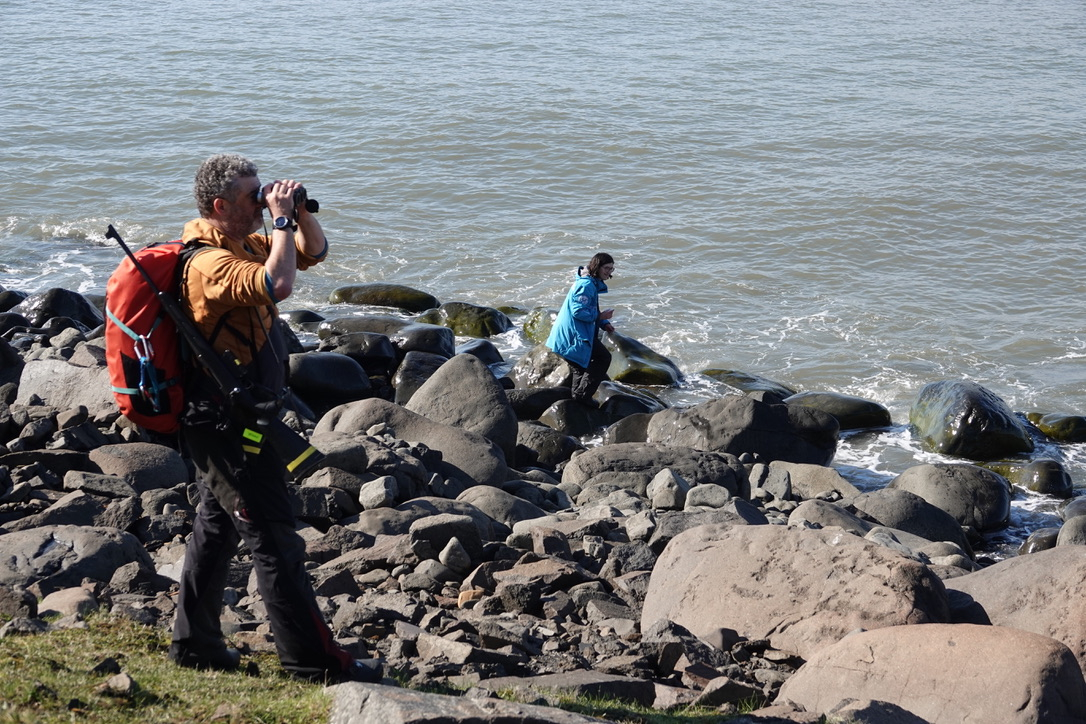 Lauren Wiesebron searching seaweeds, being assisted by an armed guard. Photo: Rob Buiter