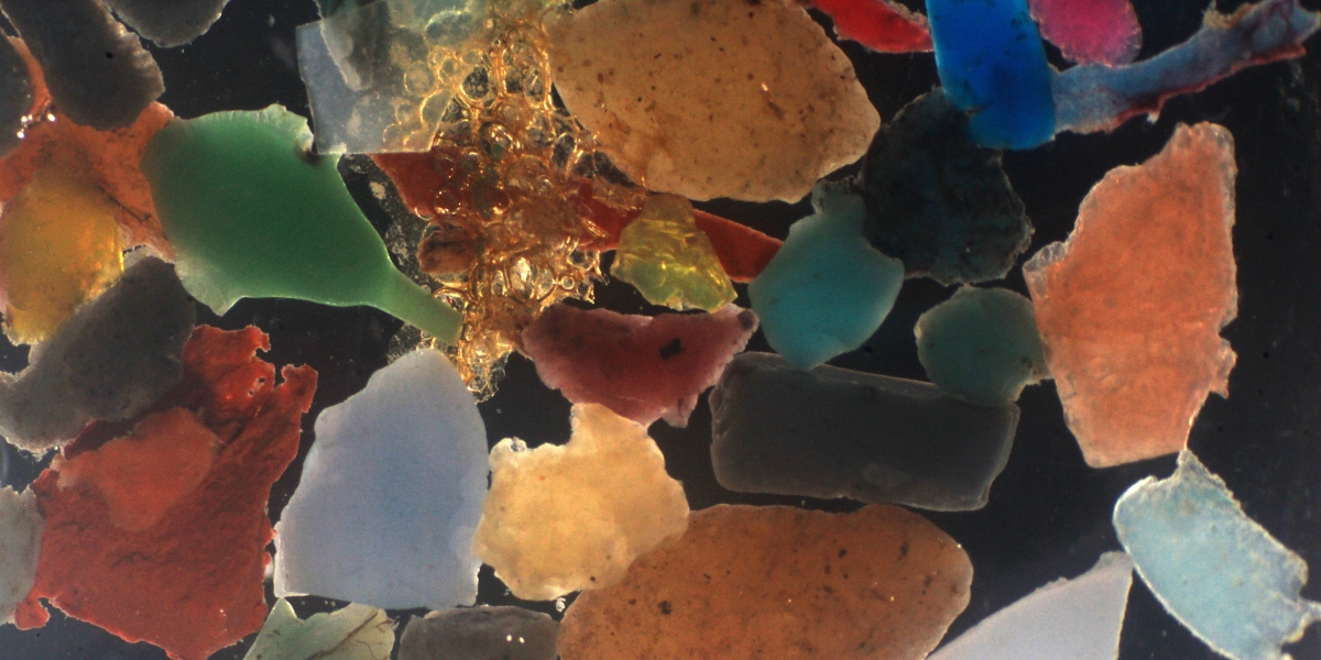 Plastic particles about 2 mm large. Photo: NIOZ