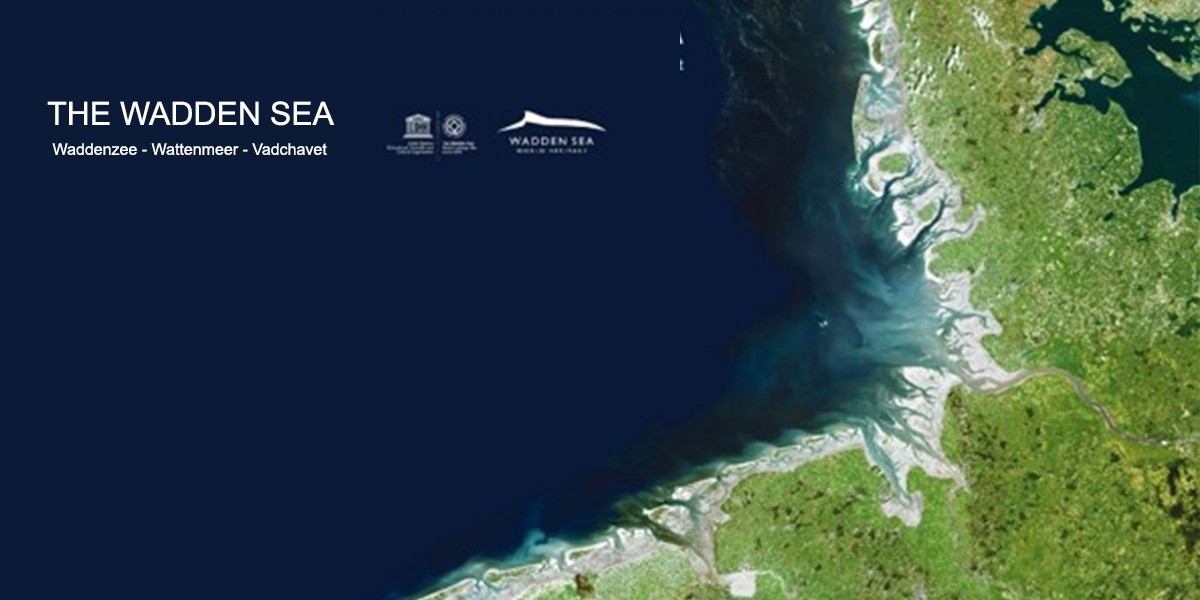 Satellite image of the Wadden Sea.