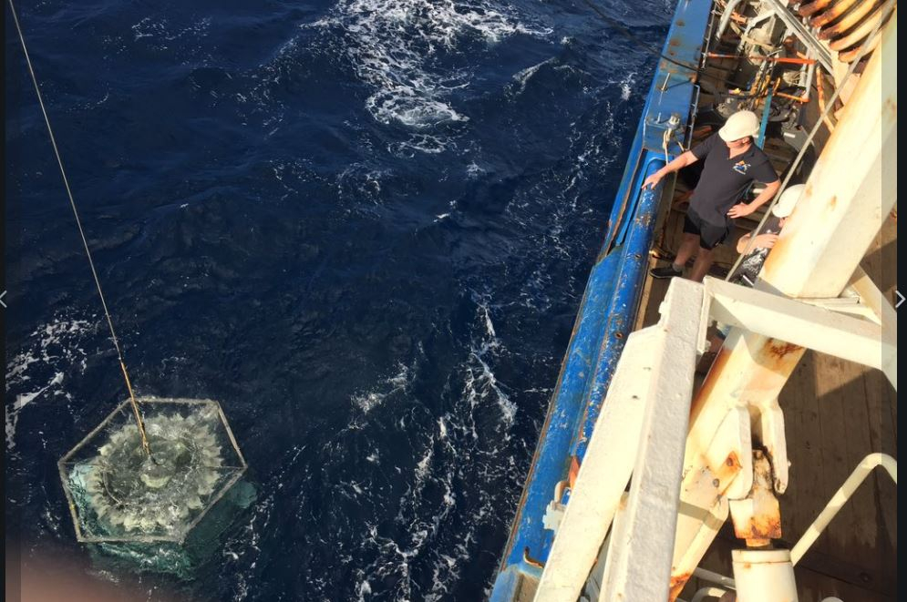 First ever CTD cast and water sample collection in a Saba Bank sinkhole., photo: Matthew Humpreys