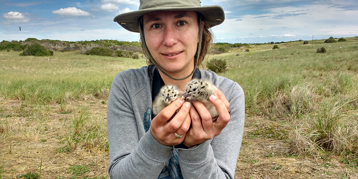 Rosemarie Kentie, PostDoc. 