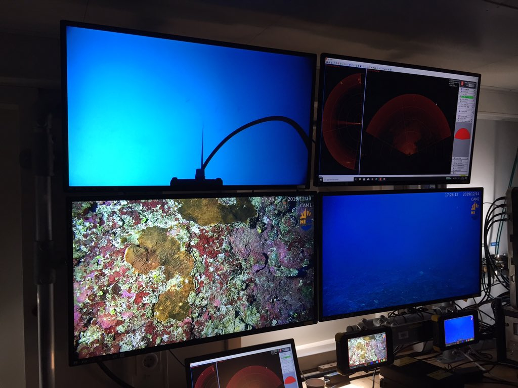 Beautiful vivid colours on the Luymes Bank seafloor in between the SabaSinkholes. Cameras in 3 angles - up to the RV Pelagia (top left), forwards (bottom right) and down (bottom left). Photo: Matthew Humphreys