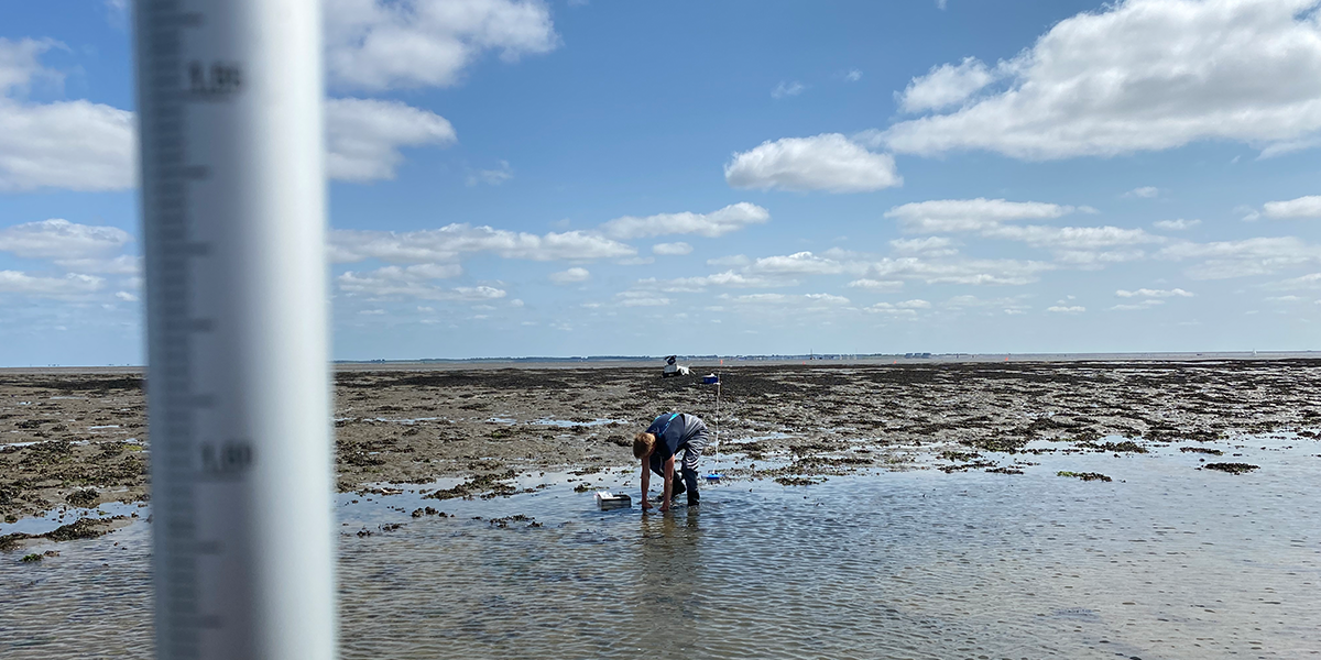 My view most of the week: observing what my colleagues (Justin Knetsch, a student of Toegepaste Biologie at Aeres Hogeschool Almere in this case) are doing while measuring