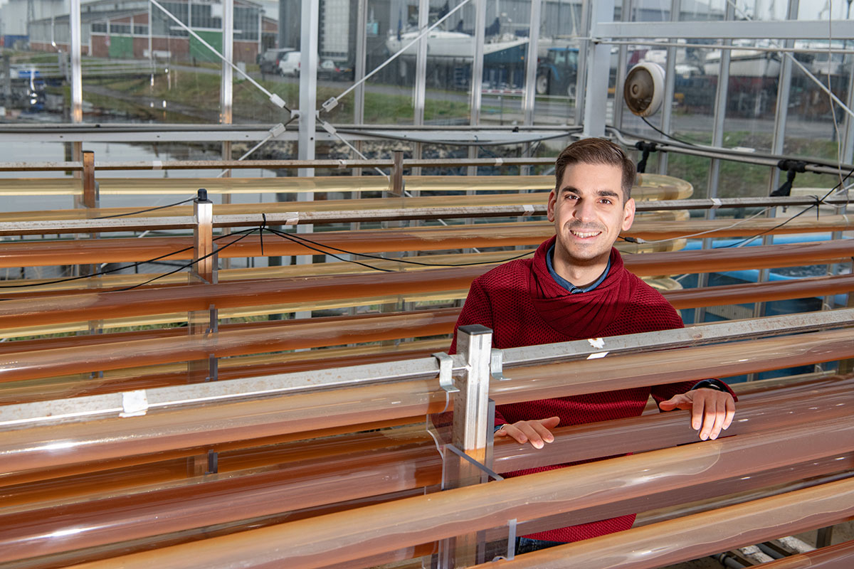 In the NIOZ lab in Yerseke, red algae Rhodomonas salina are grown in a closed and thus highly controllable system of tubes. Vertical farming saves a lot of space.