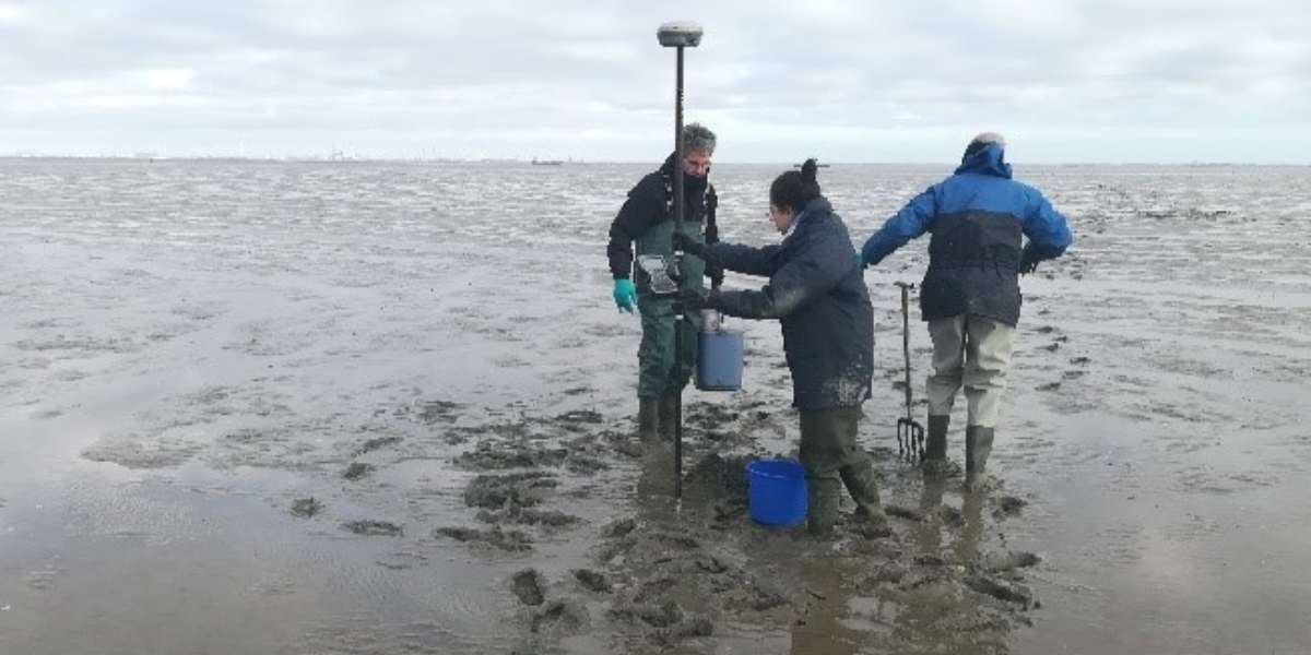 Dunia Rios-Yunes and Jeroen van Dalen taking elevation measurements in Paulinapolder. Credits: Pieter van Rijswijk 