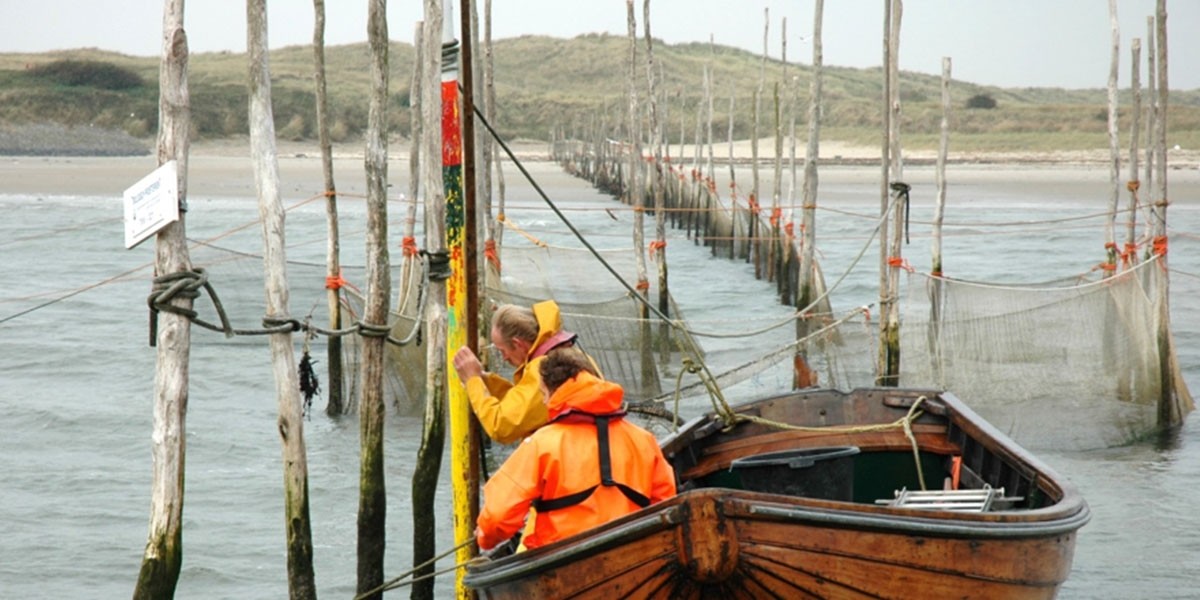 The kom-fyke at the southern tip of Texel