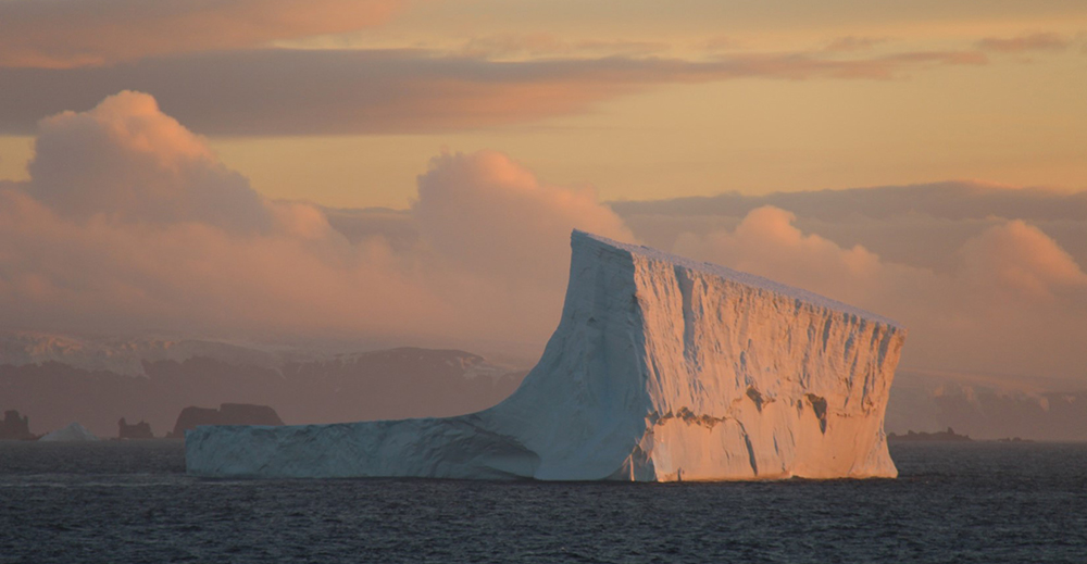 Saying goodbye to the Antarctic sea ice. Photo: Indah Ardiningsih.