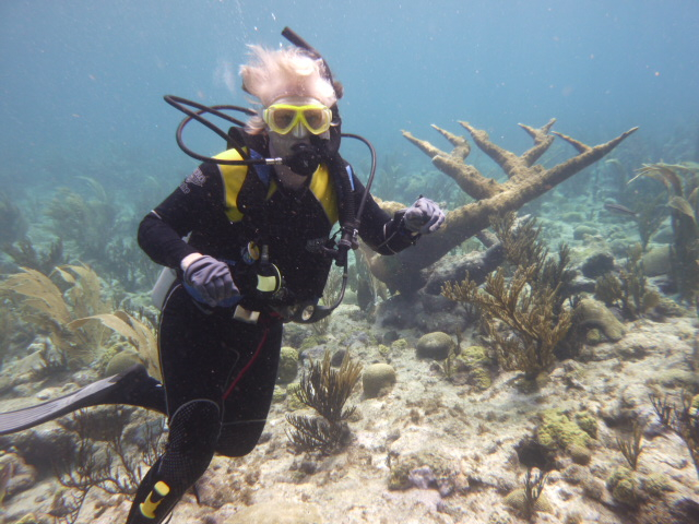NIOZ researcher Fleur van Duyl diving near Curacao, photo: NIOZ