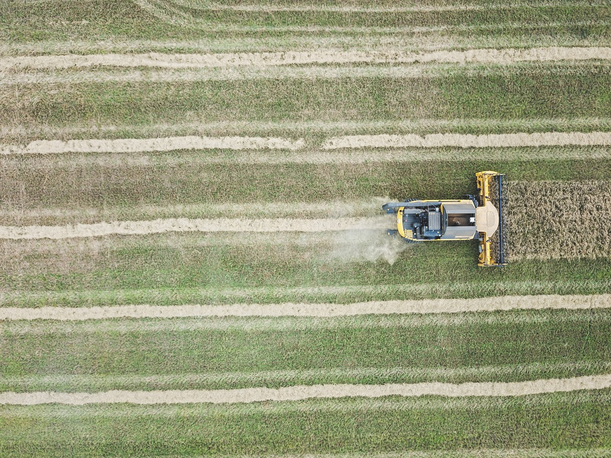 Extreme droogte, foto Unsplash