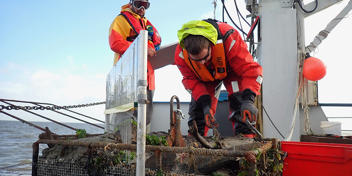 Jon Dickson en Sander Holthuijsen aan het werk bij een van de korven met hard substraat op het achterdek van de RV Navicula (Foto: Sterre Witte).