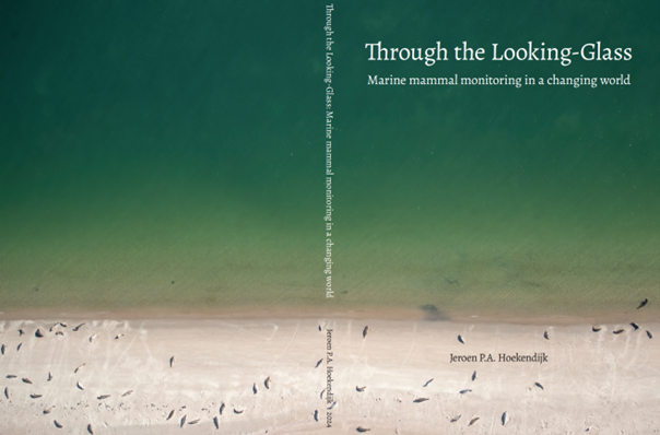 Cover of the dissertation: Through the Looking-Glass. Marine mammal monitoring in a changing world. Jeroen Hoekendijk