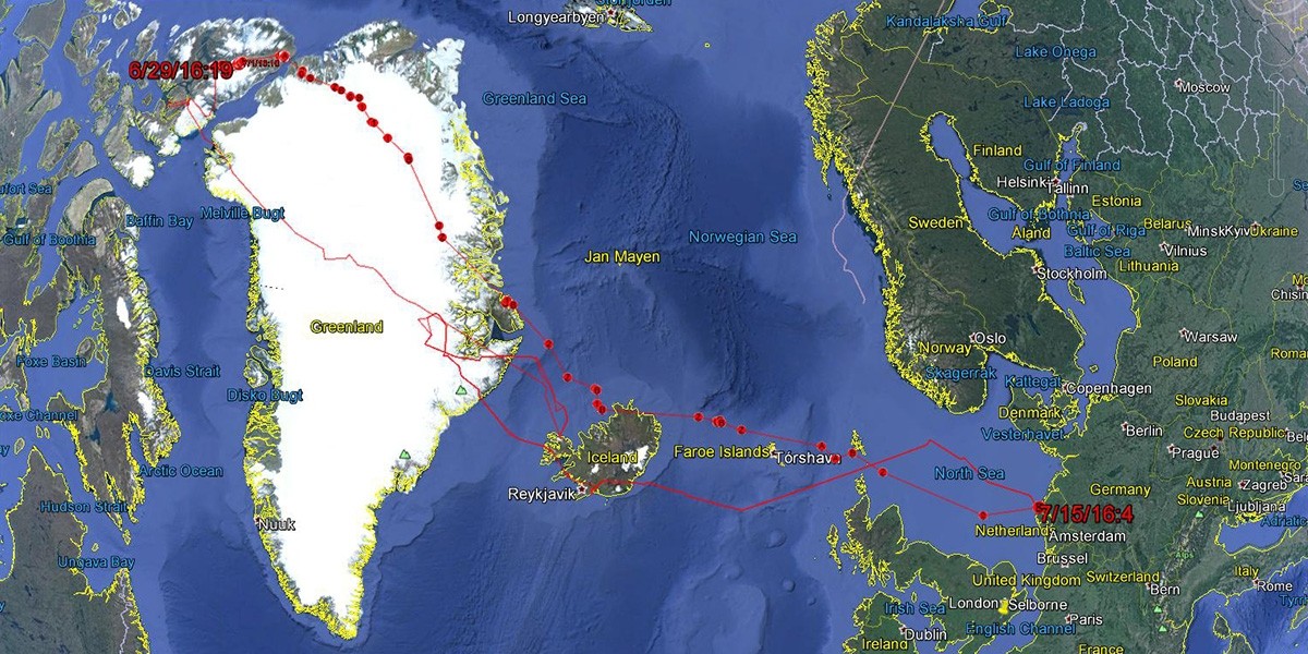 Read more on how Eva Kok followed Paula during her flight to the Canadian breeding grounds.