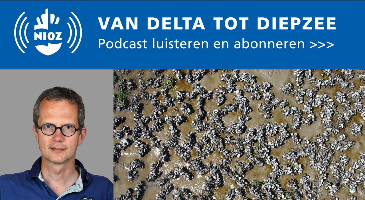 Podcast 22_De zee als schepper van patronen, met bioloog Johan van de Koppel. Foto van visnetpatroon van zelf-organiserende mosselen.