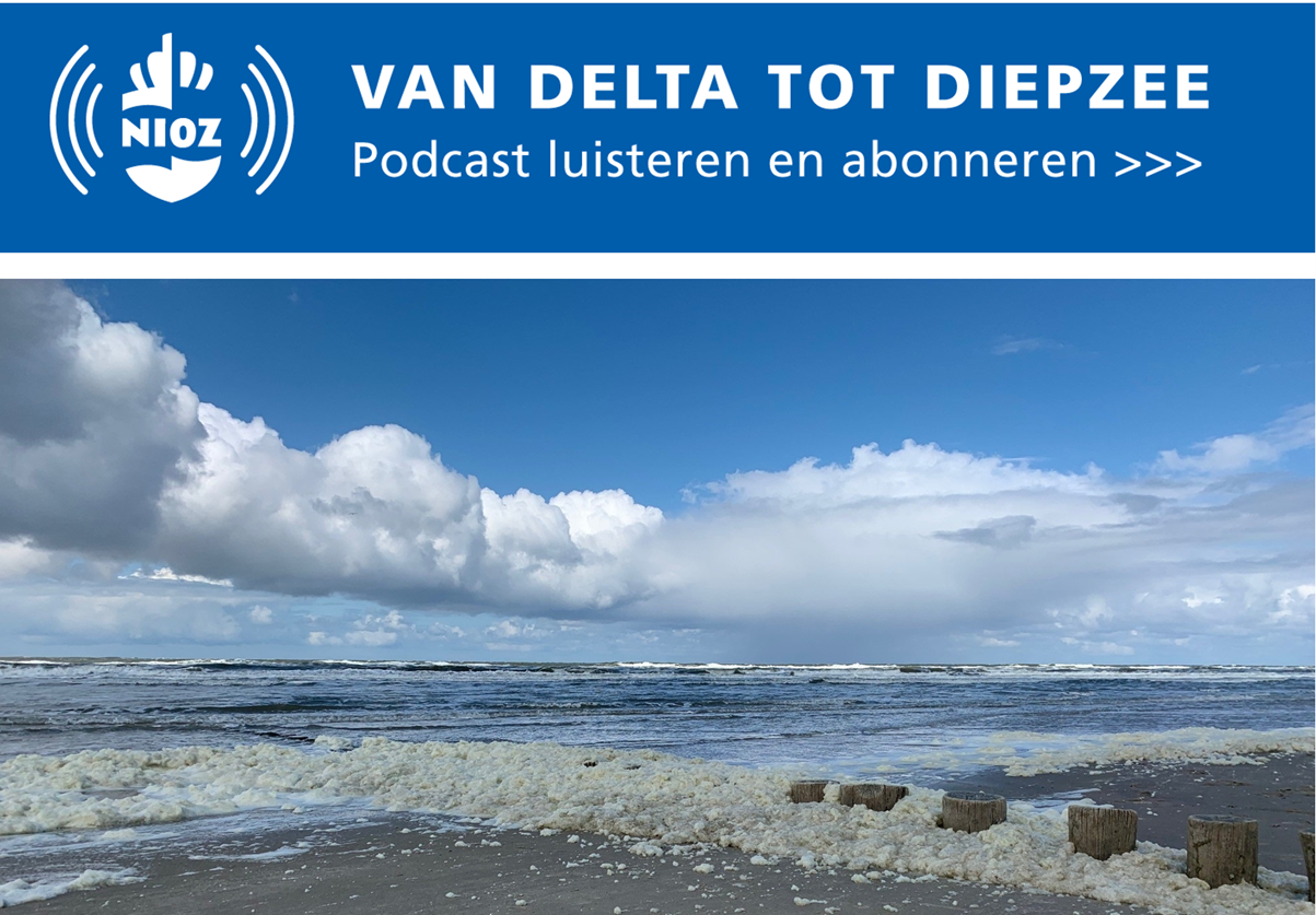 NIOZ-podcast 11 'De Waddenzee als samenloop van omstandigheden' met Katja Philippart
