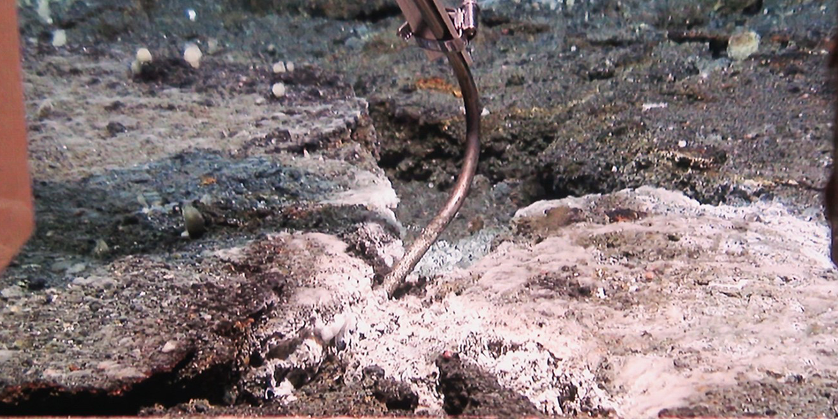 Taking a temperature measurement at a white bacterial mat in the Kolbeinsey vent field Taking a temperature measurement at a white bacterial mat in the Kolbeinsey vent field