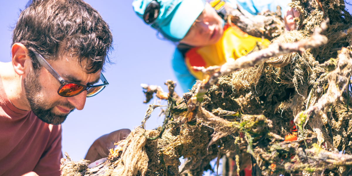 John Dickson and Dorien Luttikhuis with tree reef