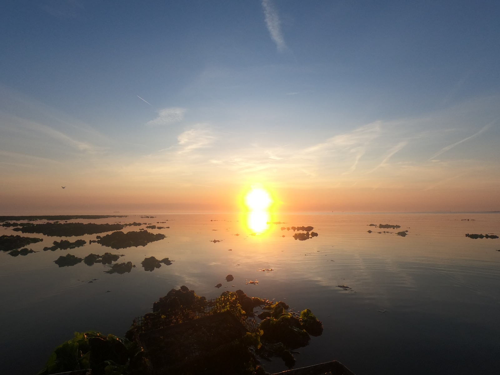 Sunrise over oysterbeds at Eastern Scheldt. Photo: Lisanne van den Boogaart