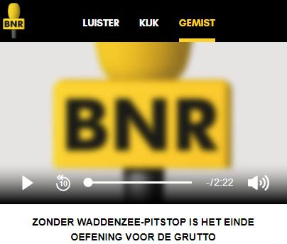 BNR nieuwsradio: zonder Waddenzee-pitstop is het einde oefening voor de grutto.
