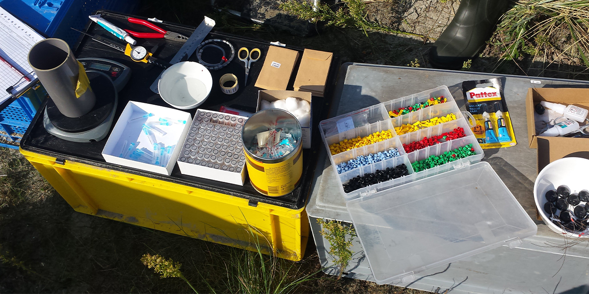 All the material needed for processing, ringing and tagging the birds