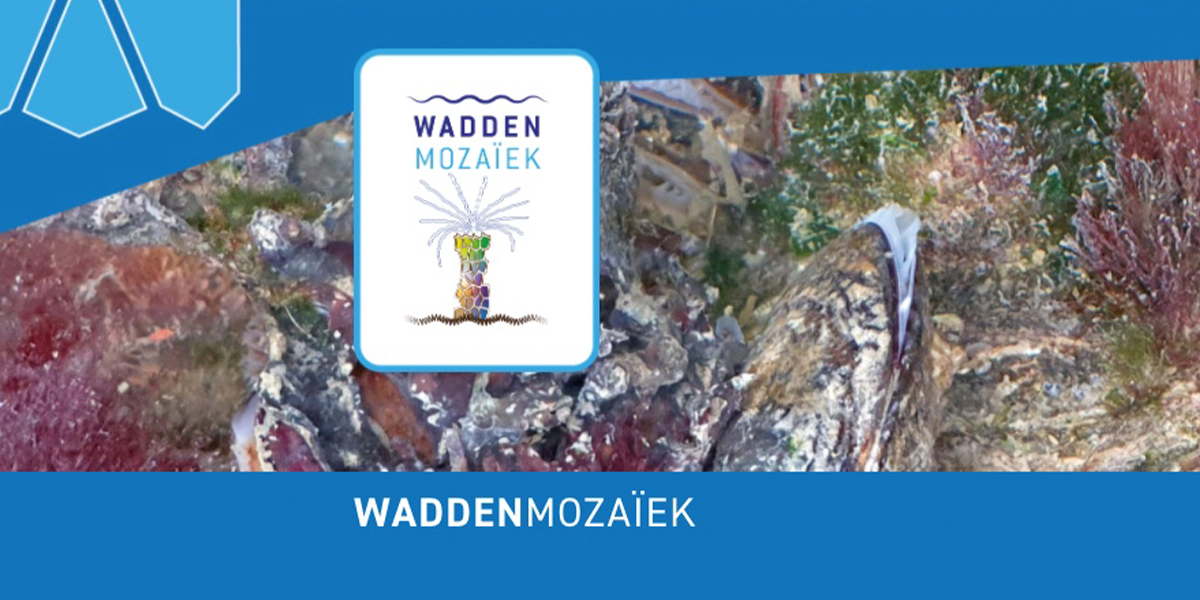 Visit the project website waddenmozaiek.nl