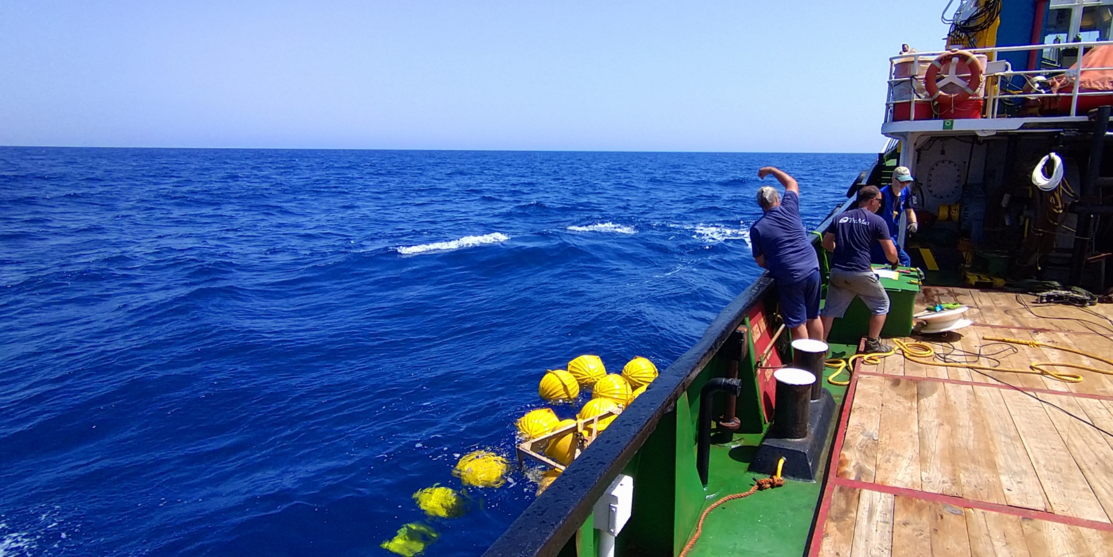 The yellow floats that brought the trap from the deep to the ocean's surface.