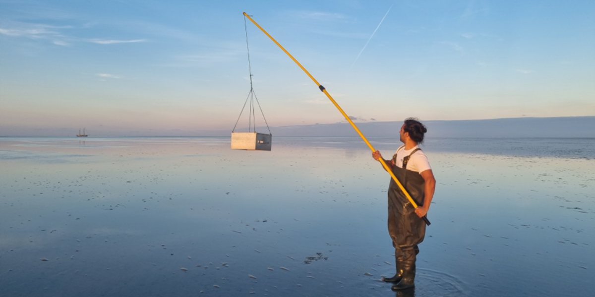 De verrassingsaanval op de garnalen (foto: Evy Gobbens)