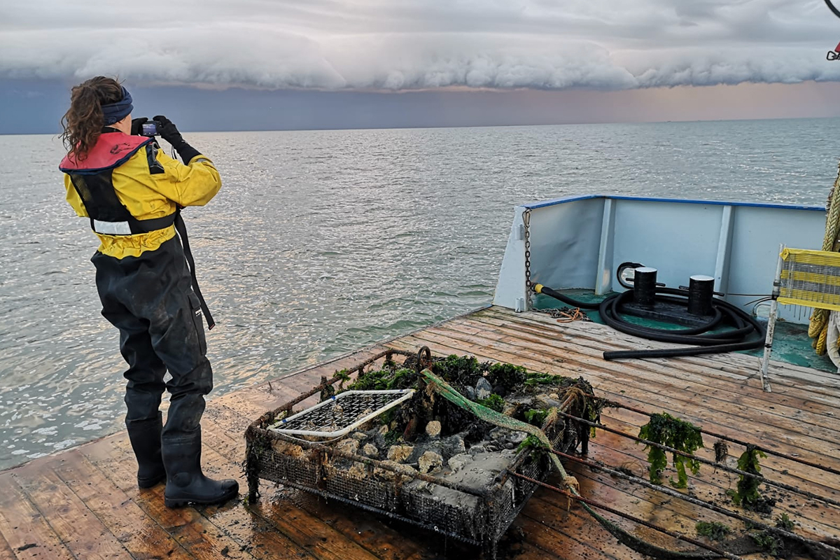 Sterre Witte aan boord RV Navicula (foto: Jon Dickson)