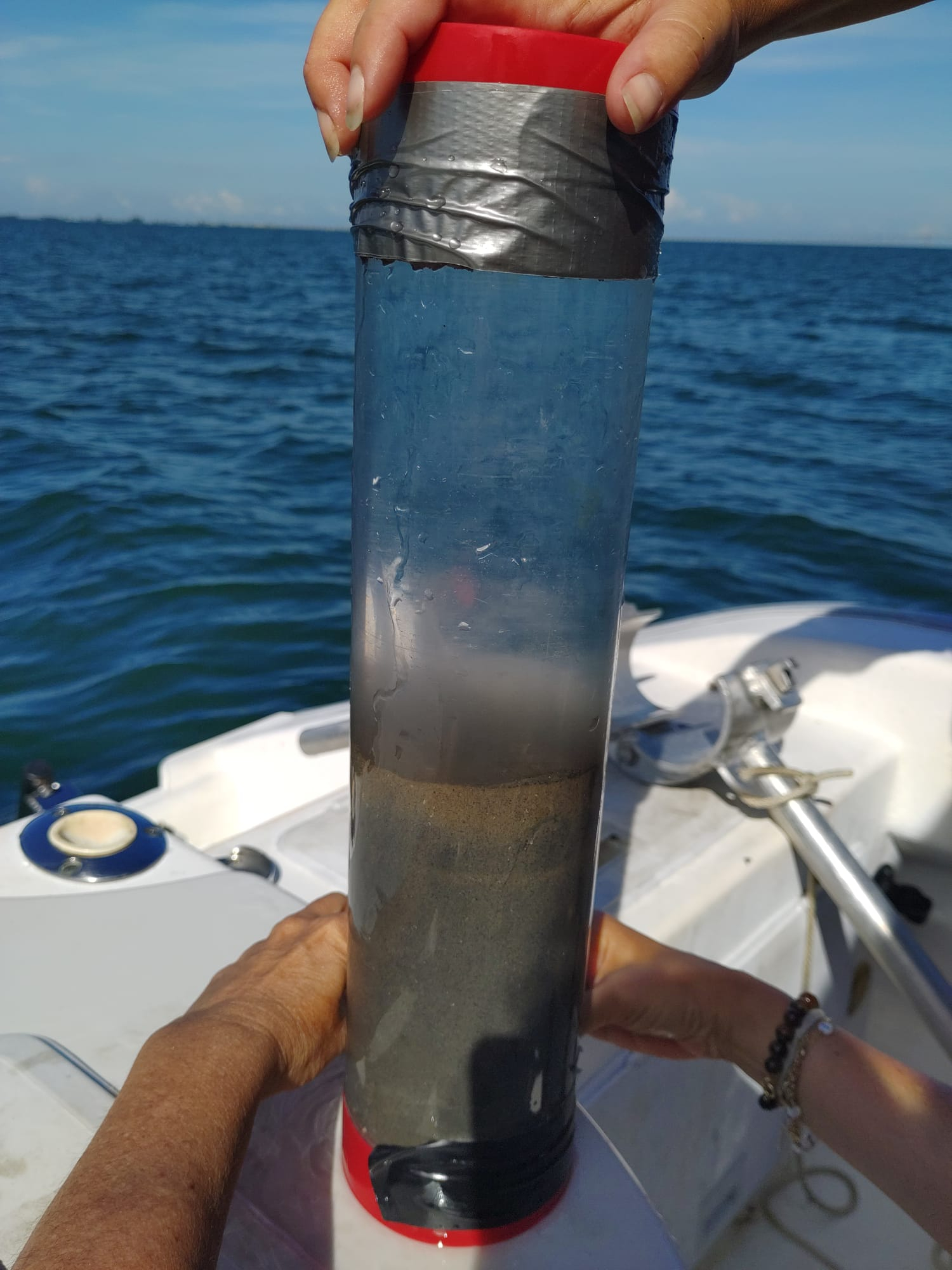 One of the push cores at Old Tampa Bay. Dark sediment is anoxic (without oxygen).
