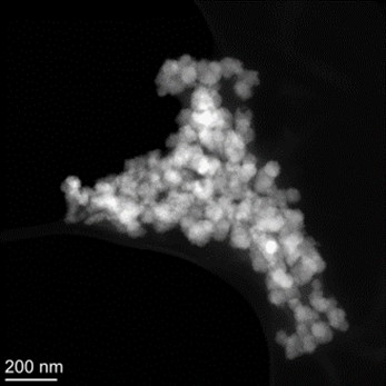 Iron nanoparticles found in hydrothermal vents could play a central role in carbon cycling. Image: Oliver Plümper (UU), Peter Kraal & Kristin Ungerhofer (NIOZ). 