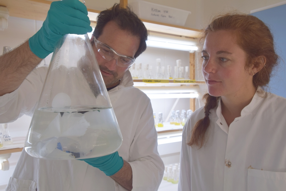 Maaike Goudriaan and Helge Niemann in the lab. Photo: NIOZ.