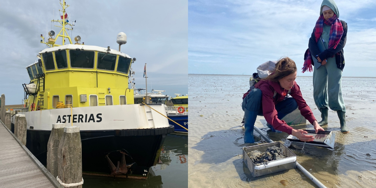 Left: The Asterias, the boat that brings us to Griend. Right: Emma explains the methods for shrimp sampling. (Photo: Nienke Zwaferink) Left: The Asterias, the boat that brings us to Griend. Right: Emma explains the methods for shrimp sampling. (Photo: Nienke Zwaferink)