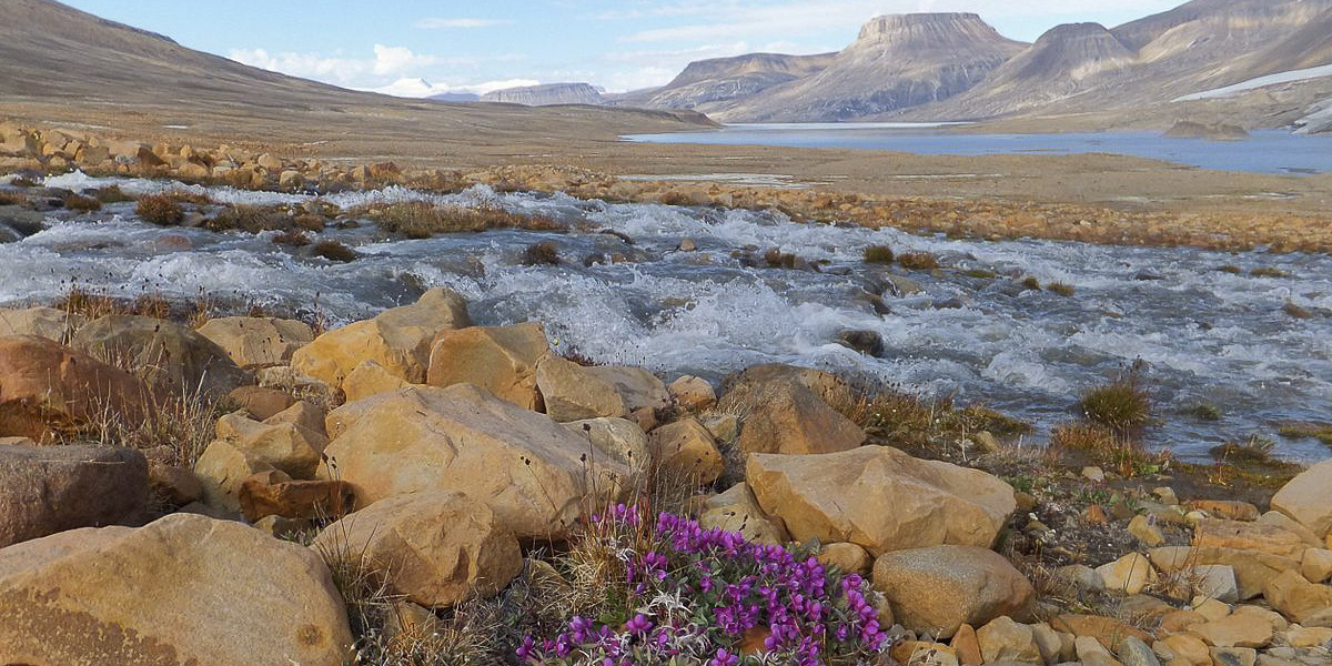 Quttinirpaaq National Park, Ellesmere Island, Paul Gierszewski / WIKI MEDIA