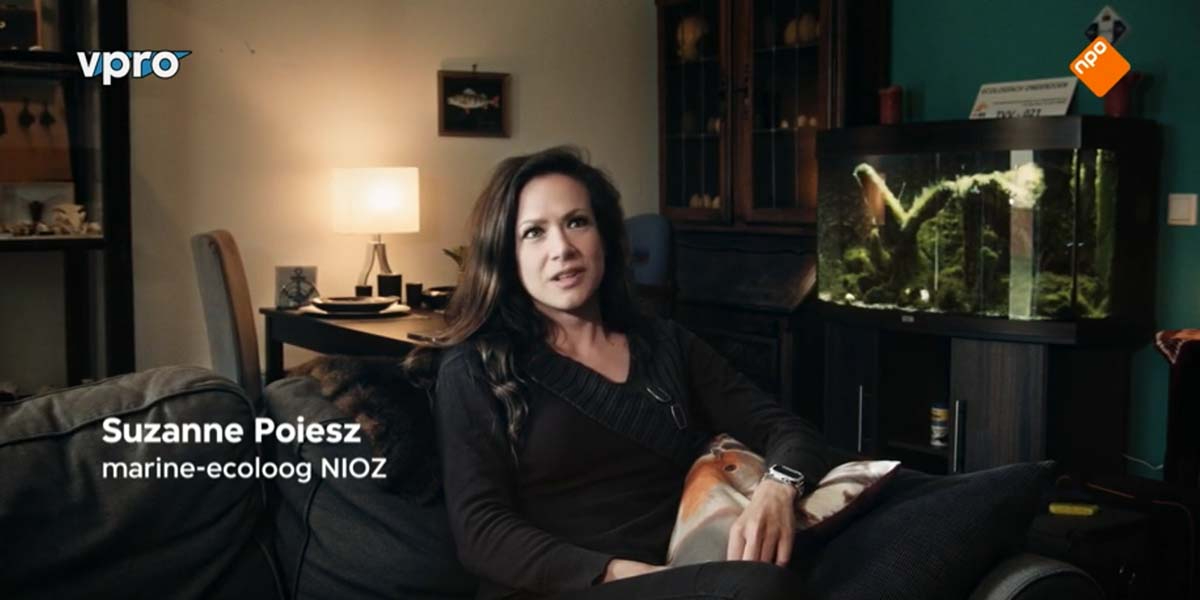 NOV 14 2021 | Suzanne Poiesz in 'Vissen naar de toekomst'  in VPRO Tegenlicht NPO2 from 22:48.