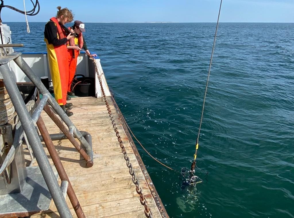 Anna-Maartje de Boer and Roan Hick (both WUR) lowering the measurement frame. Photo: Tjitske Kooistra