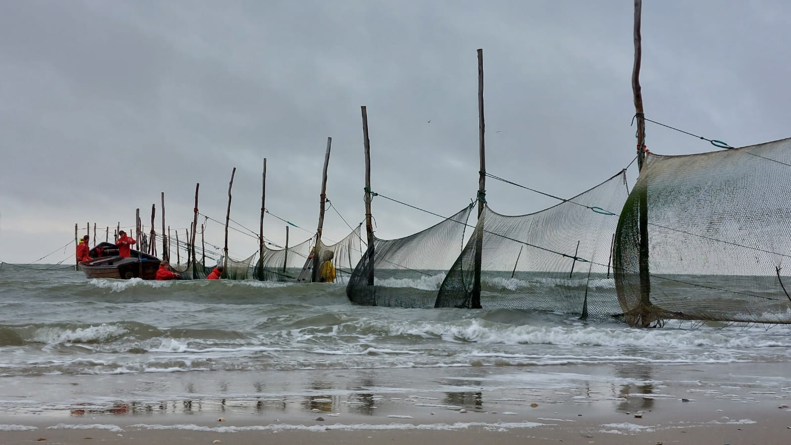 Fish fyke at Wadden Sea inlet near NIOZ Texel. Picture by Robert Twijnstra