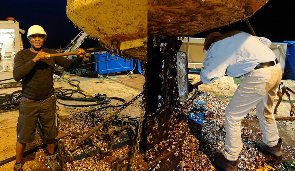 Buoy cleaning, photo: NIOZ